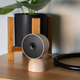 Google’s Nest lineup will work with Matter, but Google wants non-Google devices on board, too.